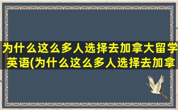 为什么这么多人选择去加拿大留学英语(为什么这么多人选择去加拿大留学的原因)