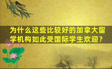 为什么这些比较好的加拿大留学机构如此受国际学生欢迎？