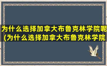 为什么选择加拿大布鲁克林学院呢(为什么选择加拿大布鲁克林学院这个专业)