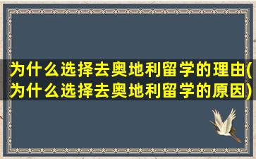 为什么选择去奥地利留学的理由(为什么选择去奥地利留学的原因)