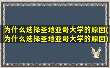 为什么选择圣地亚哥大学的原因(为什么选择圣地亚哥大学的原因)