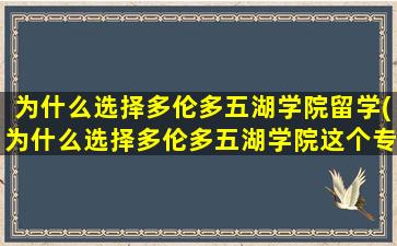 为什么选择多伦多五湖学院留学(为什么选择多伦多五湖学院这个专业)