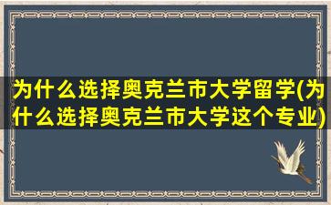 为什么选择奥克兰市大学留学(为什么选择奥克兰市大学这个专业)