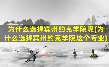 为什么选择宾州约克学院呢(为什么选择宾州约克学院这个专业)