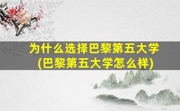 为什么选择巴黎第五大学(巴黎第五大学怎么样)