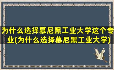 为什么选择慕尼黑工业大学这个专业(为什么选择慕尼黑工业大学)