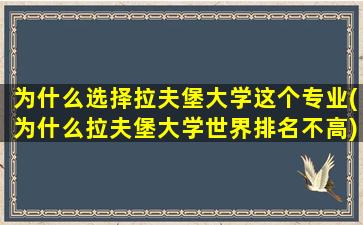 为什么选择拉夫堡大学这个专业(为什么拉夫堡大学世界排名不高)