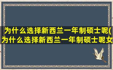 为什么选择新西兰一年制硕士呢(为什么选择新西兰一年制硕士呢女生)