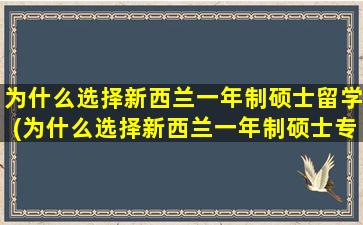 为什么选择新西兰一年制硕士留学(为什么选择新西兰一年制硕士专业)