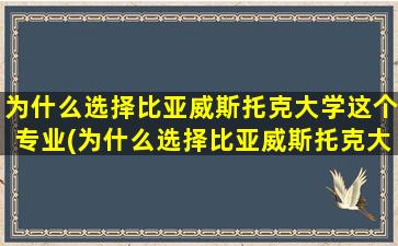 为什么选择比亚威斯托克大学这个专业(为什么选择比亚威斯托克大学)