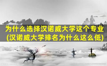 为什么选择汉诺威大学这个专业(汉诺威大学排名为什么这么低)