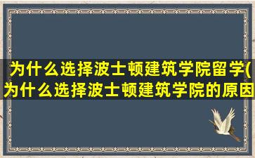 为什么选择波士顿建筑学院留学(为什么选择波士顿建筑学院的原因)