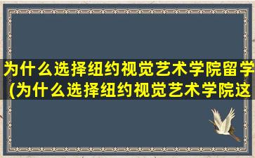 为什么选择纽约视觉艺术学院留学(为什么选择纽约视觉艺术学院这个专业)