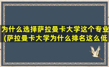 为什么选择萨拉曼卡大学这个专业(萨拉曼卡大学为什么排名这么低)