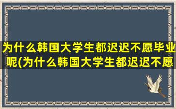 为什么韩国大学生都迟迟不愿毕业呢(为什么韩国大学生都迟迟不愿毕业呢英语)