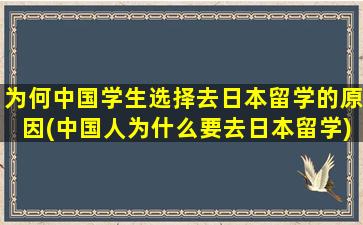 为何中国学生选择去日本留学的原因(中国人为什么要去日本留学)