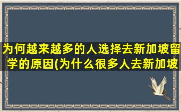 为何越来越多的人选择去新加坡留学的原因(为什么很多人去新加坡留学)