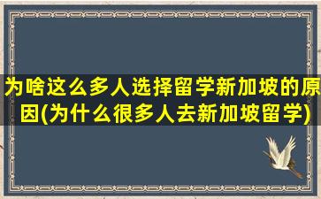 为啥这么多人选择留学新加坡的原因(为什么很多人去新加坡留学)