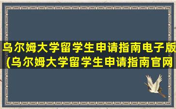 乌尔姆大学留学生申请指南电子版(乌尔姆大学留学生申请指南官网)