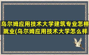 乌尔姆应用技术大学建筑专业怎样就业(乌尔姆应用技术大学怎么样)