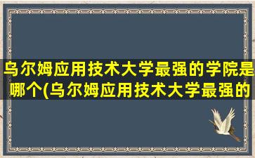 乌尔姆应用技术大学最强的学院是哪个(乌尔姆应用技术大学最强的学院是什么)