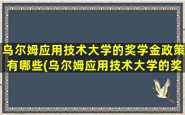 乌尔姆应用技术大学的奖学金政策有哪些(乌尔姆应用技术大学的奖学金政策怎么样)