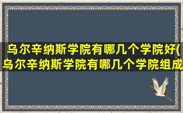 乌尔辛纳斯学院有哪几个学院好(乌尔辛纳斯学院有哪几个学院组成)