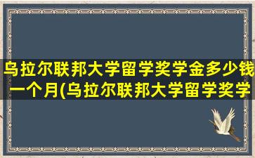 乌拉尔联邦大学留学奖学金多少钱一个月(乌拉尔联邦大学留学奖学金多少钱)