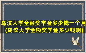 乌汶大学全额奖学金多少钱一个月(乌汶大学全额奖学金多少钱啊)