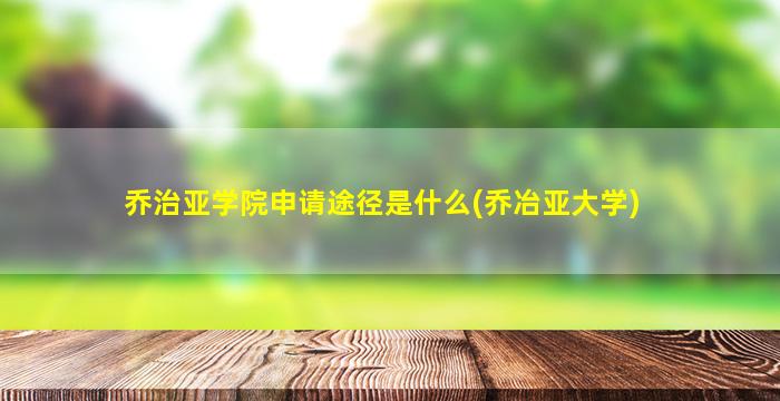 乔治亚学院申请途径是什么(乔冶亚大学)