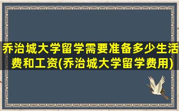 乔治城大学留学需要准备多少生活费和工资(乔治城大学留学费用)