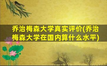 乔治梅森大学真实评价(乔治梅森大学在国内算什么水平)