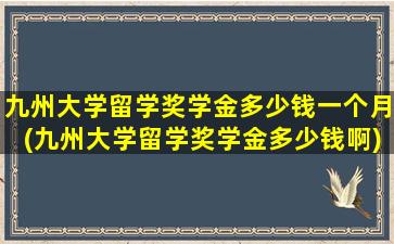 九州大学留学奖学金多少钱一个月(九州大学留学奖学金多少钱啊)