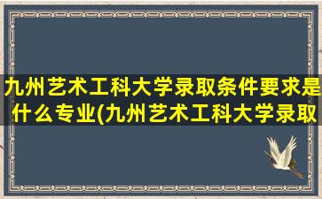 九州艺术工科大学录取条件要求是什么专业(九州艺术工科大学录取条件要求是什么样的)