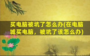 买电脑被坑了怎么办(在电脑城买电脑，被坑了该怎么办)