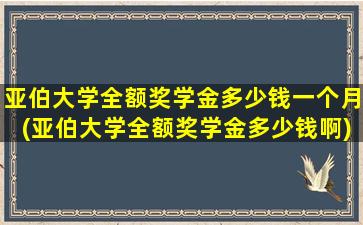 亚伯大学全额奖学金多少钱一个月(亚伯大学全额奖学金多少钱啊)