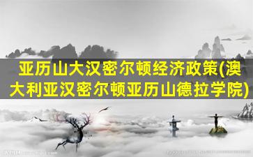 亚历山大汉密尔顿经济政策(澳大利亚汉密尔顿亚历山德拉学院)