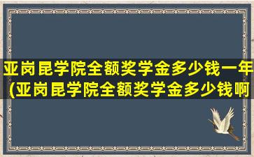 亚岗昆学院全额奖学金多少钱一年(亚岗昆学院全额奖学金多少钱啊)