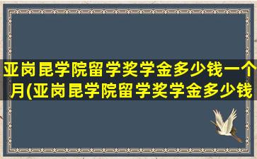 亚岗昆学院留学奖学金多少钱一个月(亚岗昆学院留学奖学金多少钱)