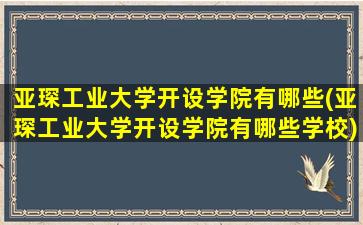 亚琛工业大学开设学院有哪些(亚琛工业大学开设学院有哪些学校)