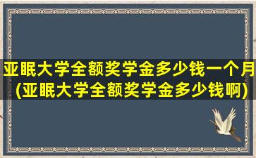 亚眠大学全额奖学金多少钱一个月(亚眠大学全额奖学金多少钱啊)