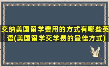 交纳美国留学费用的方式有哪些英语(美国留学交学费的最佳方式)