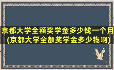 京都大学全额奖学金多少钱一个月(京都大学全额奖学金多少钱啊)