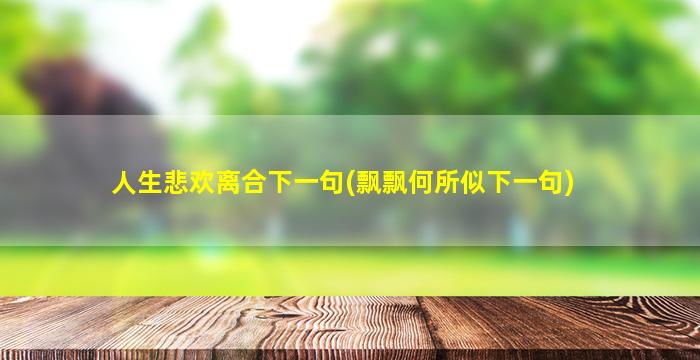 人生悲欢离合下一句(飘飘何所似下一句)