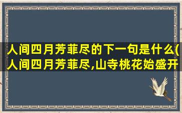 人间四月芳菲尽的下一句是什么(人间四月芳菲尽,山寺桃花始盛开)