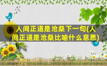 人间正道是沧桑下一句(人间正道是沧桑比喻什么意思)