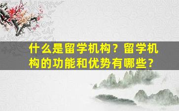 什么是留学机构？留学机构的功能和优势有哪些？