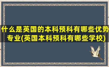 什么是英国的本科预科有哪些优势专业(英国本科预科有哪些学校)