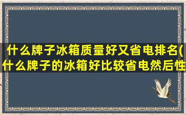 什么牌子冰箱质量好又省电排名(什么牌子的冰箱好比较省电然后性价比高)