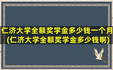 仁济大学全额奖学金多少钱一个月(仁济大学全额奖学金多少钱啊)